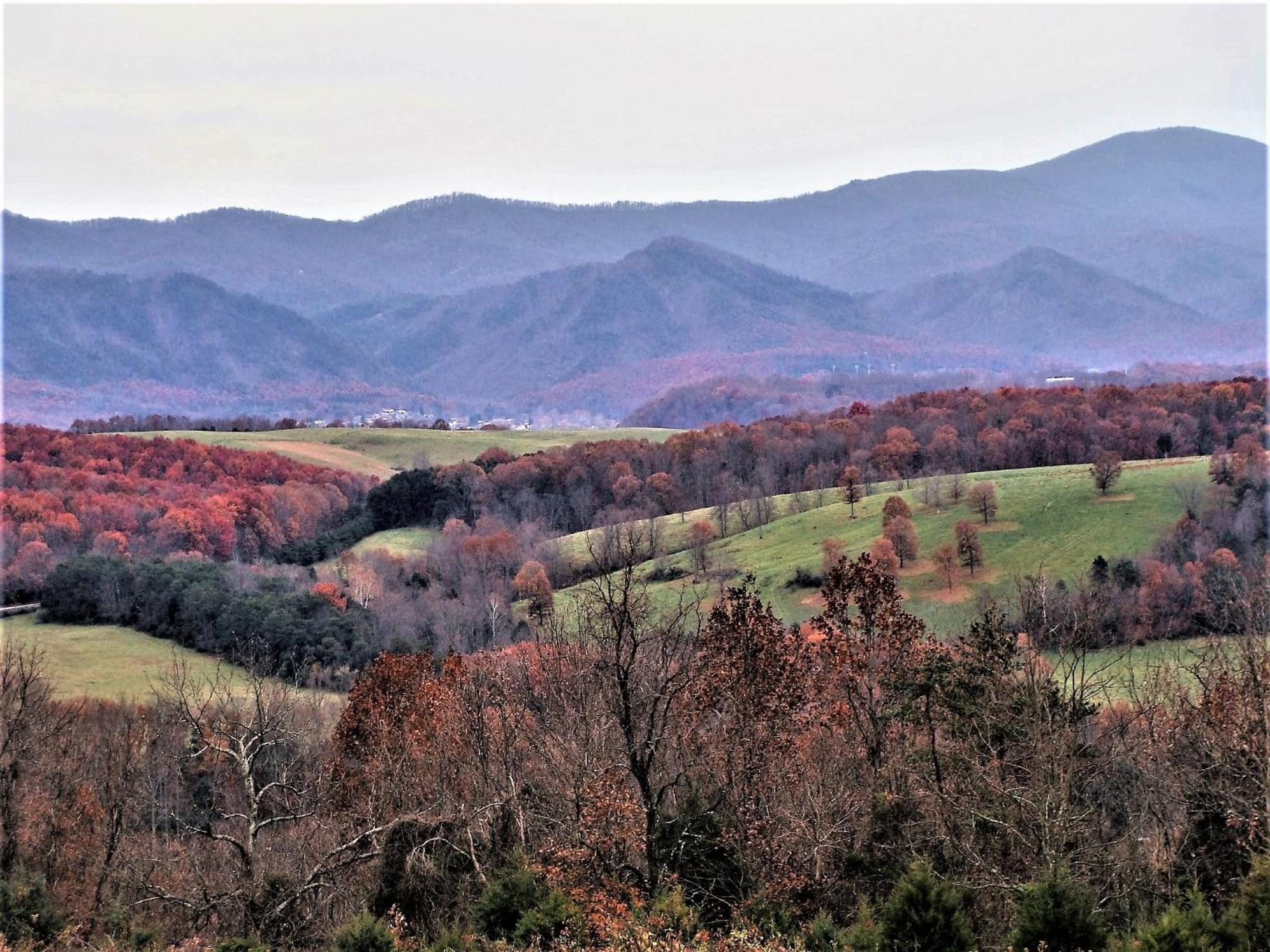 Buena Vista Heartstone Country Retreat 빌라 외부 사진