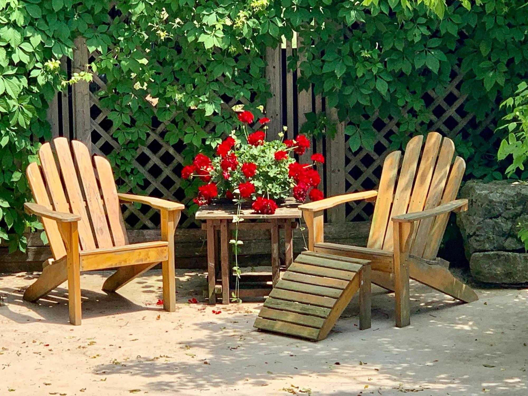 Buena Vista Heartstone Country Retreat 빌라 외부 사진